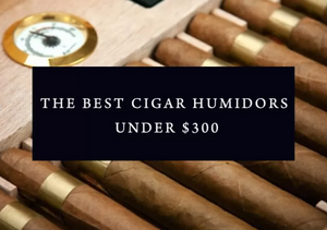 The Best Cigar Humidors under $300