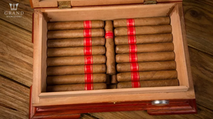 Cigar Humidor – Top 10 Best Small Humidors 2024