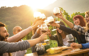 friends enjoying wine party