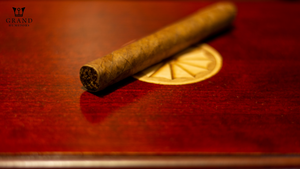 Find the Perfect Humidor Chest: Top Choices for Every Cigar Aficionado