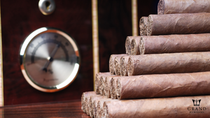 Decoding the Debate: Are Glass Top Humidors Good for Your Cigars?
