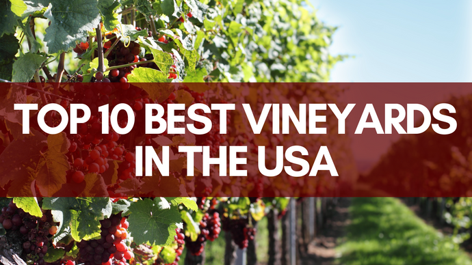 Top 10 Best Vineyards in the USA