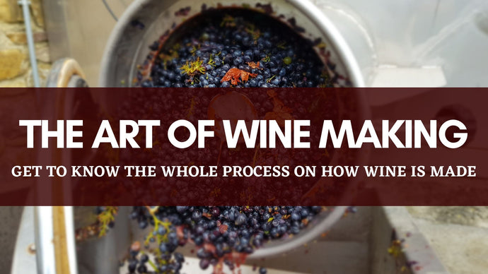 The Art of Making Wine