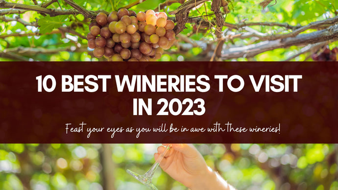 10 Best Wineries to visit in 2023